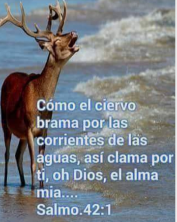 Un corazón Sediento 